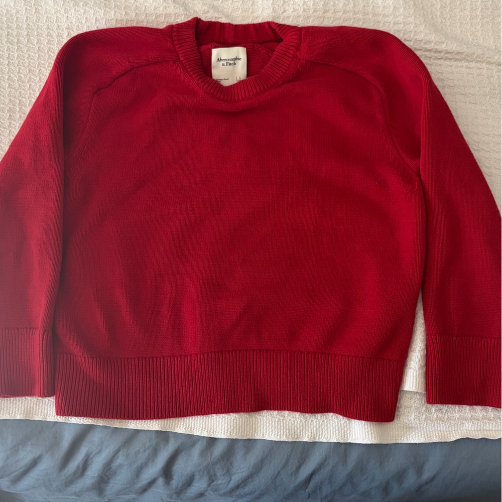 The A&F Madeline Crew Sweater